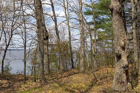 petenwell lake, wi