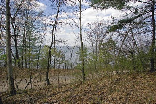 lake petenwell,