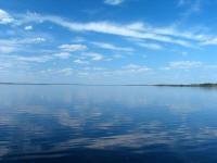 lake petenwell, wi in Monroe Township