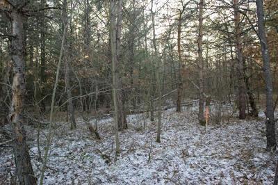 wisconsin dells area