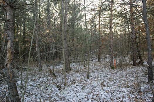 wisconsin dells area