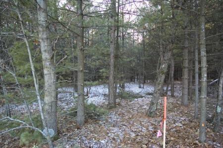 acreage near the dells