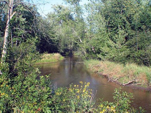 crystal brook woods