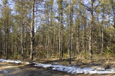 wooded acreage in central wisconsin