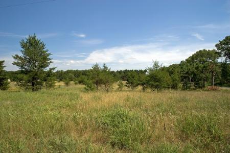springville