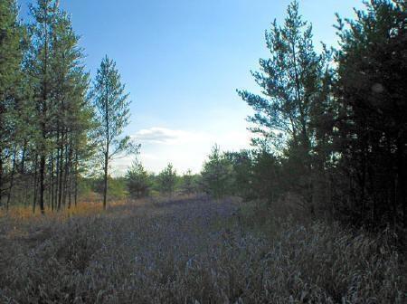 Petenwell Lake adams county