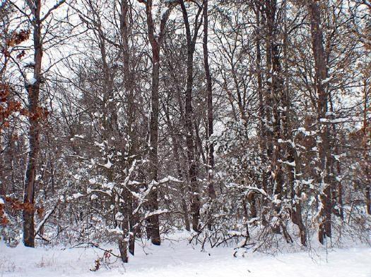 camp site off the beaten path