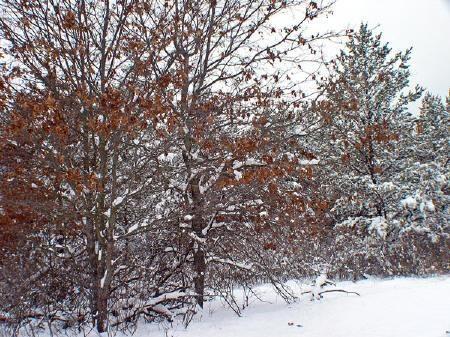 enjoy hunting, hiking and fishing