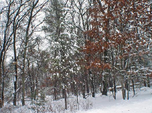 hunt, hike, and fish