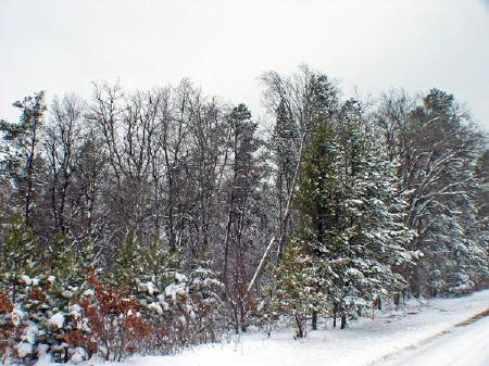 abutting public land - adjointing public land