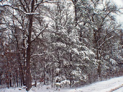 bordering public land