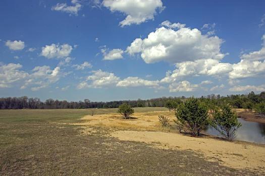 public land