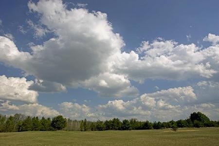 open ground