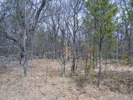 central Wisconsin real estate for sale