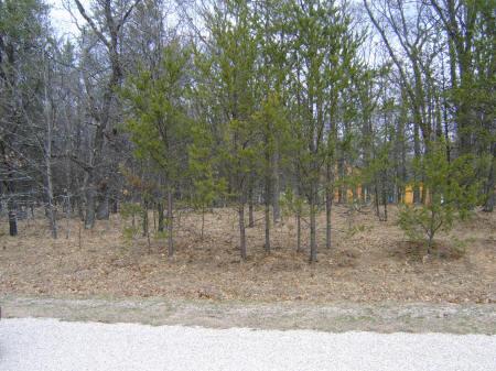 camping site near Castle Rock Lake