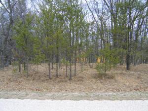 buildable property for sale or Castle Rock Lake, WI.