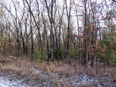 central wisconsin real estate for sale