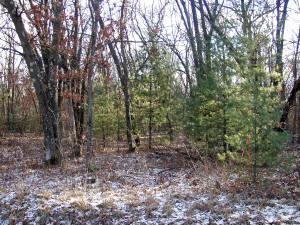 land for sale by wisconsin dells