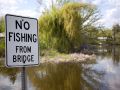 No Fishing from Bridge