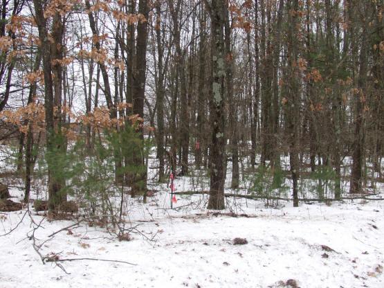hunting land for sale by Castle Rock Lake