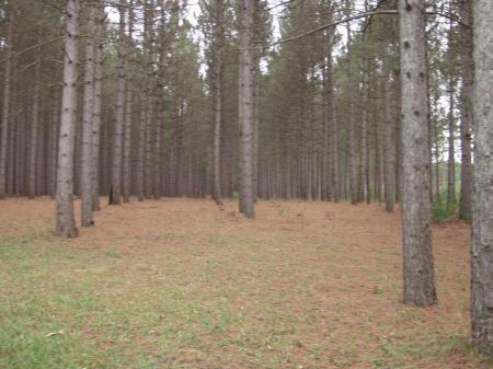 peaceful getaway in adams county