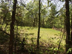 building site near Lake Petenwell in Monroe Township