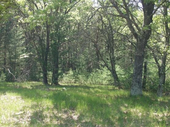 property for sale on the Lake Petenwell area
