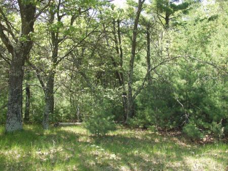 Wisconsin land for sale
