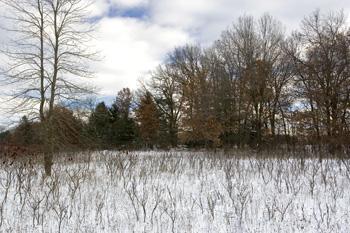 Wisconsin Land For Sale In Adams County