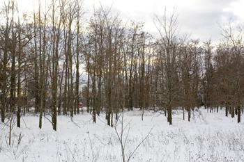Cheap Central Wisconsin Land For Sale