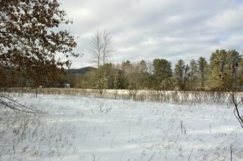 Centrally Located In Peaceful Neighborhood