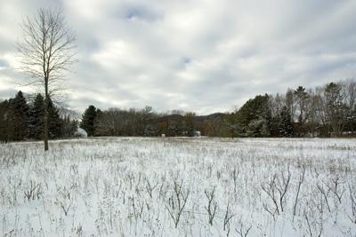 2 Wooded Lots Within Walking Distance Of Friendship Lake