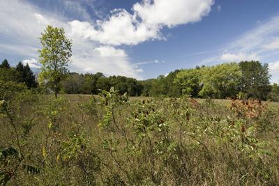 Cheap Land for Sale in WI