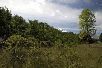 Camp Or Build In Central Wisconsin