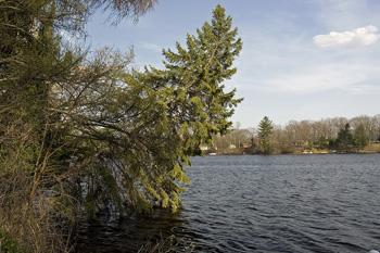 beautiful country home overlooking friendship lake