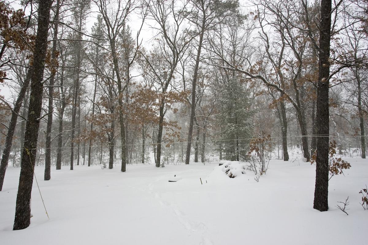 Central Wisconsin Land and Cabin for sale.