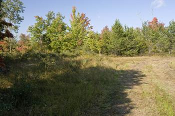 Adams County Buildable Land For Sale