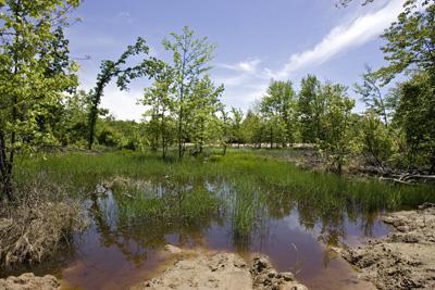 Buildable Land For Sale In Central Wisconsin