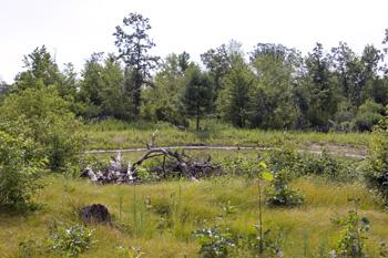 5 Acres With Private Pond