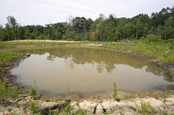 Beautiful Clay Lined Man Made Pond