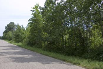convenient paved road frontage