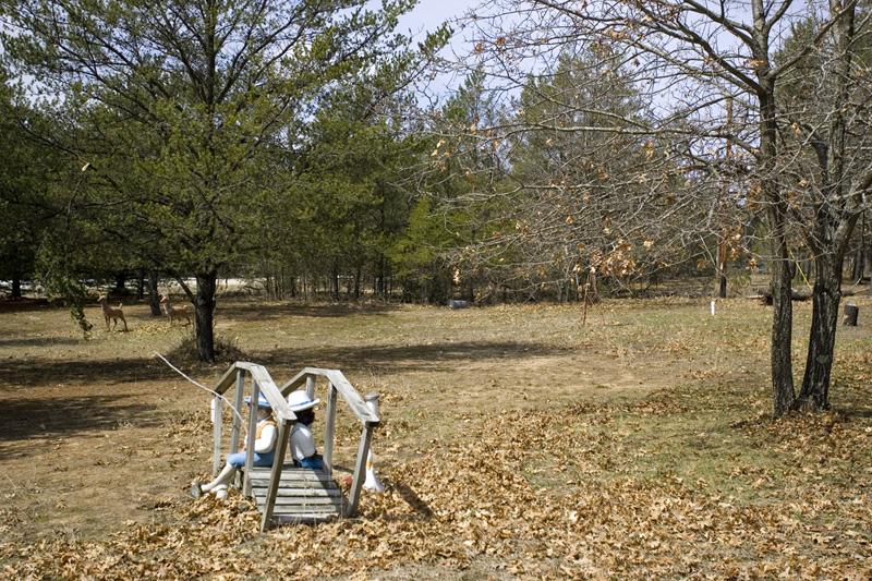 Beautiful Home On 4.5 Acres