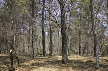 2 Bedroom Home Just North Of Wisconsin Dells