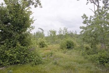 Affordable Land In Adams County - Price Reduced!