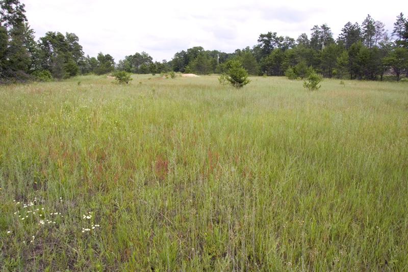 cheap wooded land for sale near public land and atv routes