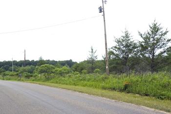Easy Paved Road Access To Property