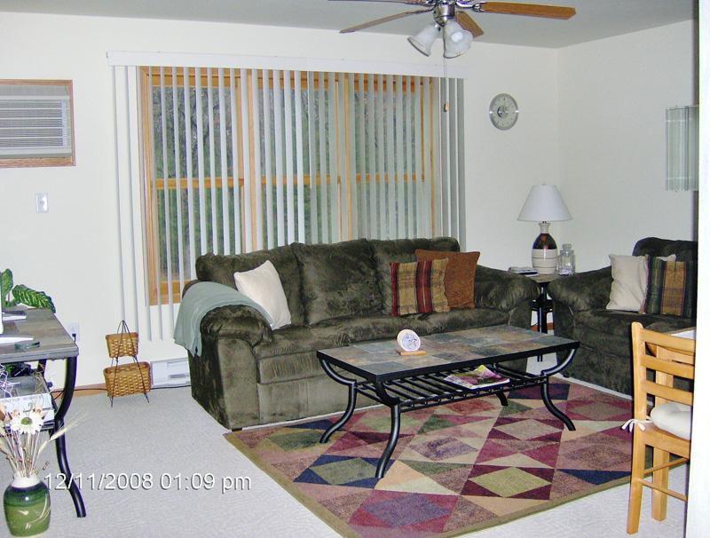 Large Living Room With View