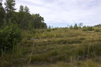 Photo Of Central Wisconsin Public Land