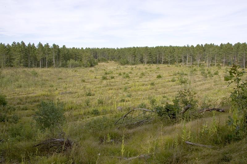 Lots of Public Land Bordering the property