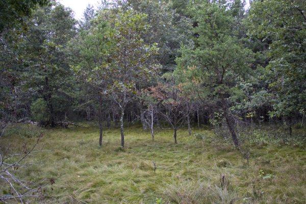 Abundant Wildlife Just Minutes From Wisconsin Dells
